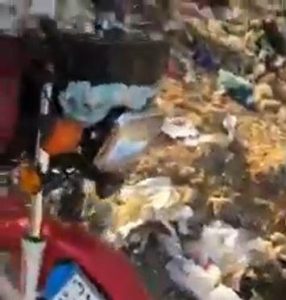 اتهام شخص بتوريد لحوم حمير نافقة لتجار بالقليوبية