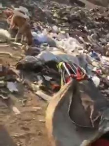 اتهام شخص بتوريد لحوم حمير نافقة لتجار بالقليوبية