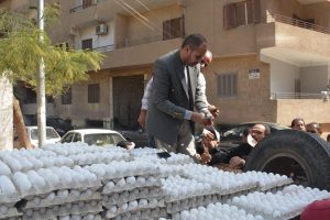 توفير بيض المائدة للمواطنين بسعر 95 جنيه للبيض الأبيض و96 للبيض الأحمر بالقليوبية