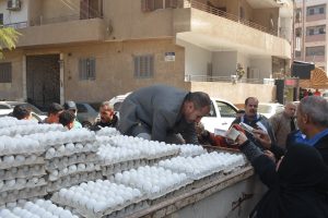 توفير بيض المائدة للمواطنين بسعر 95 جنيه للبيض الأبيض و96 للبيض الأحمر بالقليوبية