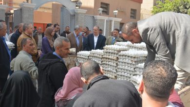توفير بيض المائدة للمواطنين بسعر 95 جنيه للبيض الأبيض و96 للبيض الأحمر بالقليوبية
