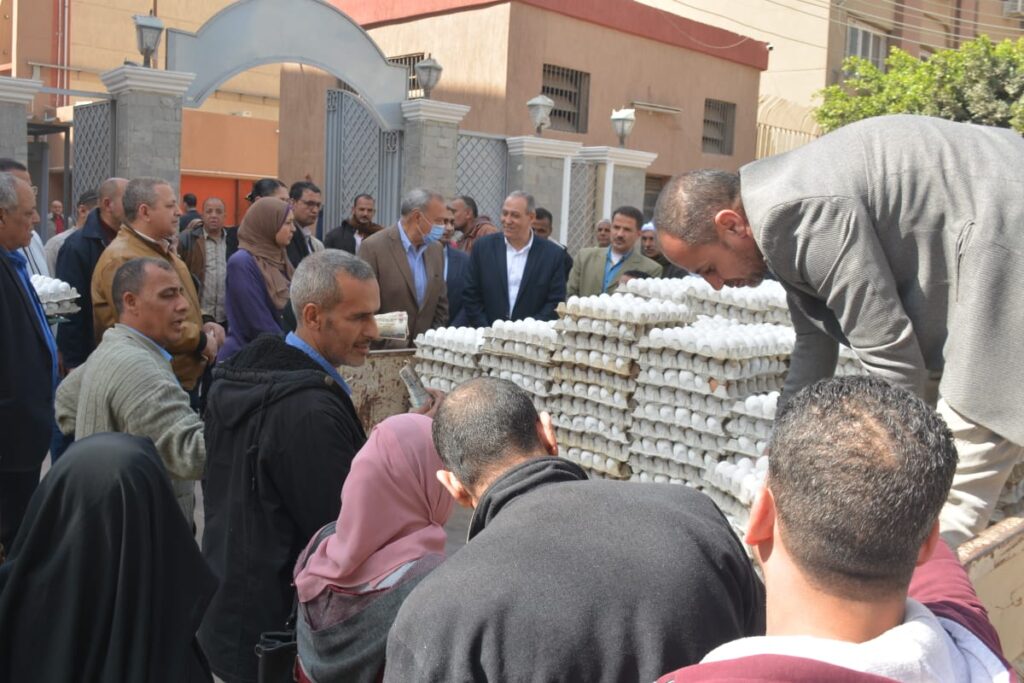 توفير بيض المائدة للمواطنين بسعر 95 جنيه للبيض الأبيض و96 للبيض الأحمر بالقليوبية