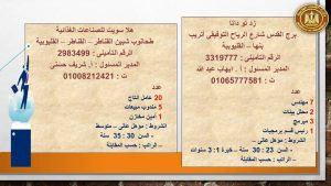 القوى العاملة: فرص عمل في القليوبية .. منها لذوي الهمم