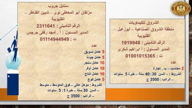 القوى العاملة: فرص عمل في القليوبية .. منها لذوي الهمم القوى العاملة: فرص عمل في القليوبية .. منها لذوي الهمم