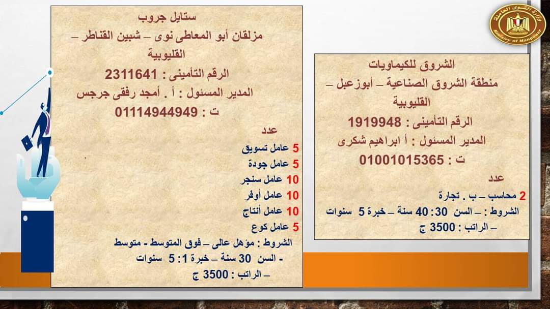 القوى العاملة: فرص عمل في القليوبية .. منها لذوي الهمم القوى العاملة: فرص عمل في القليوبية .. منها لذوي الهمم