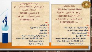 القوى العاملة: فرص عمل في القليوبية .. منها لذوي الهمم