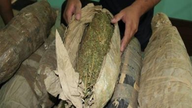 ضبط 12 كيلو حشيش وهيروين بحوزة 3 عاطلين بالقليوبية ضبط 12 كيلو حشيش وهيروين بحوزة 3 عاطلين بالقليوبية