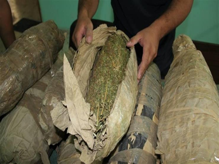 ضبط 12 كيلو حشيش وهيروين بحوزة 3 عاطلين بالقليوبية ضبط 12 كيلو حشيش وهيروين بحوزة 3 عاطلين بالقليوبية