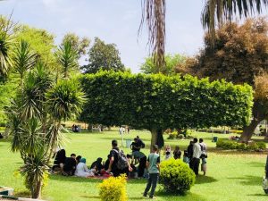 صور .. إقبال المواطنين على حدائق القناطر في ثالث أيام العيد