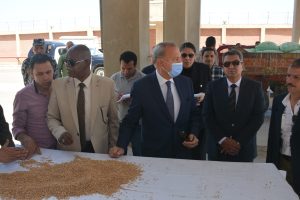 محافظ القليوبية: توريد 4 آلاف طن قمح للشون والصوامع - صور
