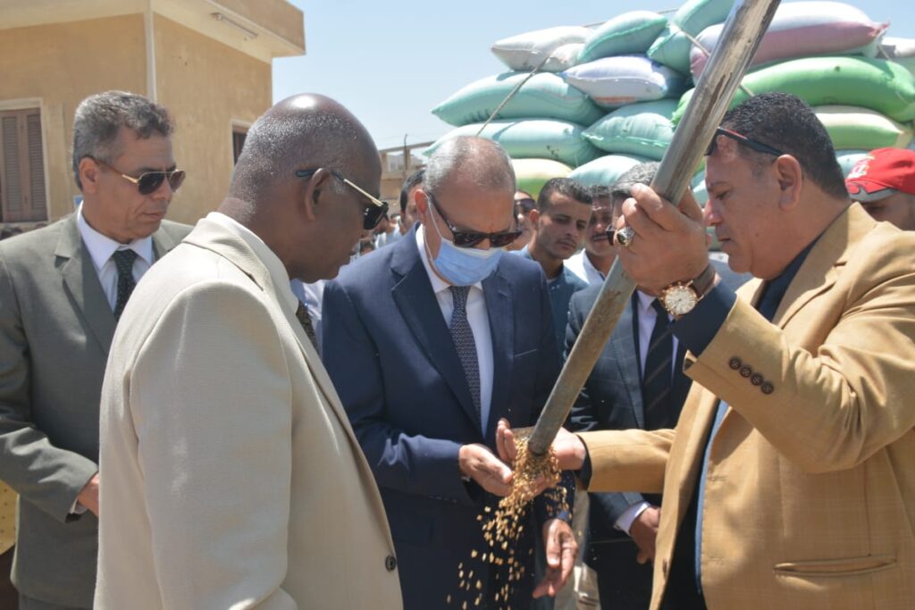محافظ القليوبية: توريد 4 آلاف طن قمح للشون والصوامع - صور محافظ القليوبية: توريد 4 آلاف طن قمح للشون والصوامع - صور