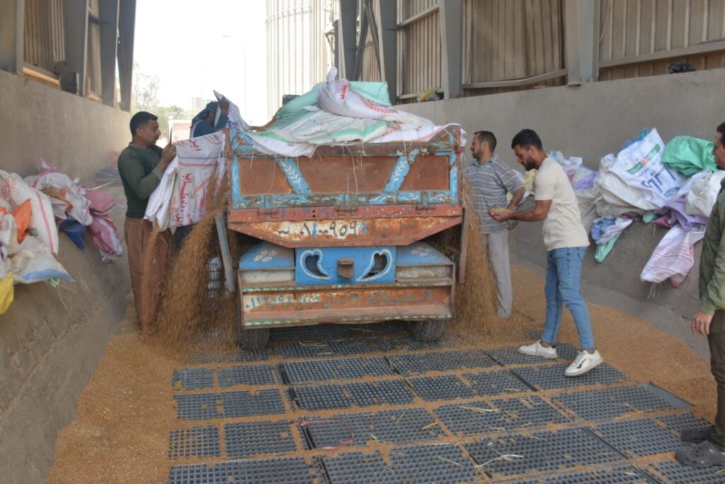 محافظ القليوبية: توريد 4 آلاف طن قمح للشون والصوامع - صور محافظ القليوبية: توريد 4 آلاف طن قمح للشون والصوامع - صور