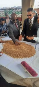 استلام 273 طن قمح من المزارعين بصومعة بنها على الطريق الزراعي - صور