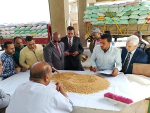 استلام 273 طن قمح من المزارعين بصومعة بنها على الطريق الزراعي - صور