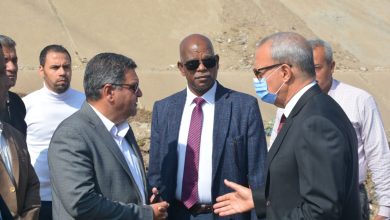 محافظ القليوبية يشهد بدء موسم حصاد القمح باحد المزارع بمدينة بنها