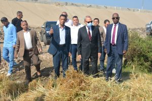 محافظ القليوبية يشهد بدء موسم حصاد القمح باحد المزارع بمدينة بنها