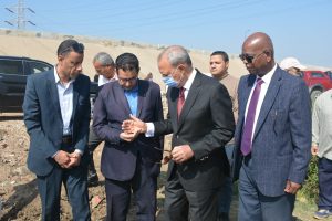 محافظ القليوبية يشهد بدء موسم حصاد القمح باحد المزارع بمدينة بنها