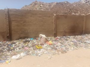 ضبط جزار بحوزته لحوم "حمير" مذبوحة بالقليوبية