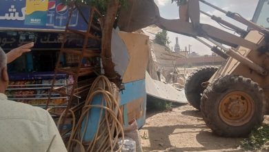 محافظ القليوبية: إزالة 183 حالة تعد ضمن  المرحلة الأولى من حملات الموجة الـ 21 لإزالة التعديات