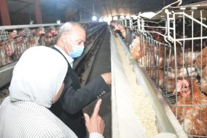 محافظ القليوبية يتابع مشروع الـ 30 مليون بيضه بمدينة الخانكة