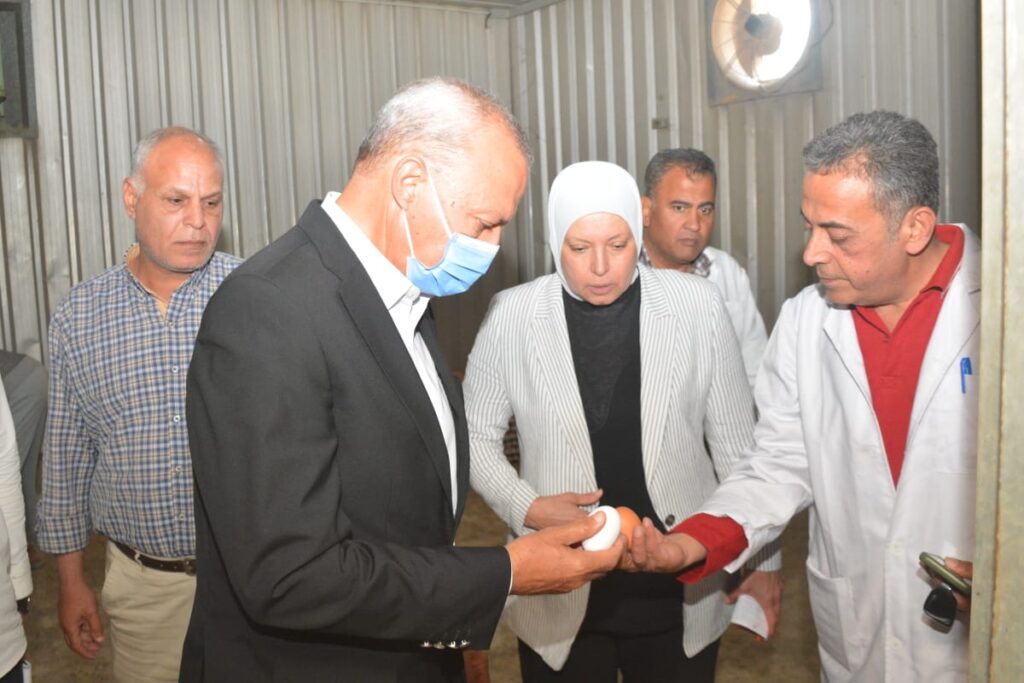 محافظ القليوبية يتابع مشروع الـ 30 مليون بيضه بمدينة الخانكة محافظ القليوبية يتابع مشروع الـ 30 مليون بيضه بمدينة الخانكة