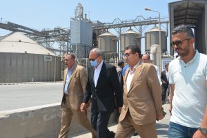 توريد 71 ألفا و532 طن قمح للشون والصوامع بالقليوبية - صور