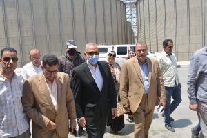 توريد 71 ألفا و532 طن قمح للشون والصوامع بالقليوبية - صور