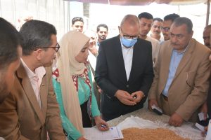 توريد 71 ألفا و532 طن قمح للشون والصوامع بالقليوبية - صور