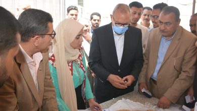 توريد 71 ألفا و532 طن قمح للشون والصوامع بالقليوبية - صور توريد 71 ألفا و532 طن قمح للشون والصوامع بالقليوبية - صور