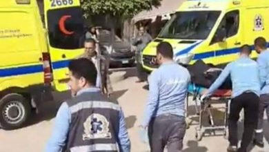 تفاصيل إصابة 9 أشخاص في مشاجرة بالقليوبية تفاصيل إصابة 9 أشخاص في مشاجرة بالقليوبية