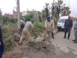 بسبب سوء الأحوال الجوية .. سقوط مأذنة مسجد وأشجار وميل أعمدة إنارة بالقليوبية