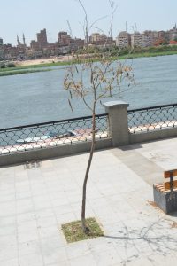 محافظ القليوبية يتفقد كورنيش النيل وممشى أهل مصر المرحلة الأولى ببنها 