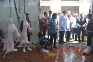 استعدادا لعيد الأضحى .. محافظ القليوبية يتفقد المجازر 