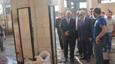 محافظ القليوبية يتفقد المجازر للاطمئنان على جاهزيتها لاستقبال الأضاحي محافظ القليوبية يتفقد المجازر للاطمئنان على جاهزيتها لاستقبال الأضاحي