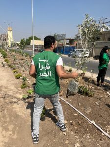 شبرا الخير تزرع أكثر من ألف شجرة مثمرة لتجميل وتنظيف الشوارع بالقليوبية