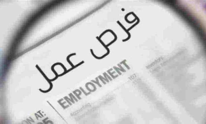 توفير 104 وظيفة جديدة بـ 6 شركات بالقطاع الخاص بالقليوبية توفير 104 وظيفة جديدة بـ 6 شركات بالقطاع الخاص بالقليوبية