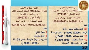 توفير 104 وظيفة جديدة بـ 6 شركات بالقطاع الخاص بالقليوبية