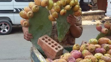 لديها 3 أبناء والمتوفي أصغرهم.. مصرع أشهر بائعة تين ونجلها في حادث لديها 3 أبناء والمتوفي أصغرهم.. مصرع أشهر بائعة تين ونجلها في حادث