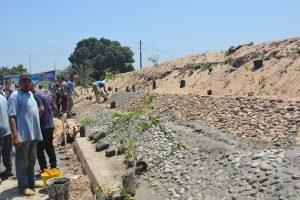 محافظ القليوبية يطلق مبادرة قريتي جميلة ونظيفة بقرية بطا وورورة