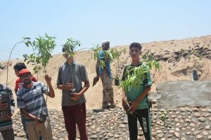 محافظ القليوبية يطلق مبادرة قريتي جميلة ونظيفة بقرية بطا وورورة