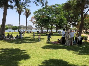 في رابع أيام العيد .. حدائق القناطر تواصل استقبال المواطنين (صور)