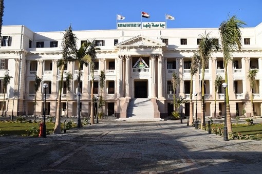 غدا .. مركز تنمية قدرات أعضاء هيئة التدريس بجامعة بنها ينظم برنامج تدريبي لإعداد المدربين 