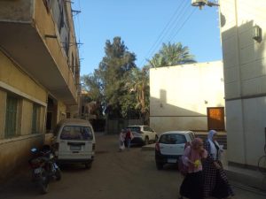 «مجول قريه العلم والثقافه» أبرز ابنائها الشيخ عبد العظيم زاهر