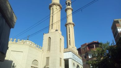 «مجول قريه العلم والثقافه» أبرز ابنائها الشيخ عبد العظيم زاهر