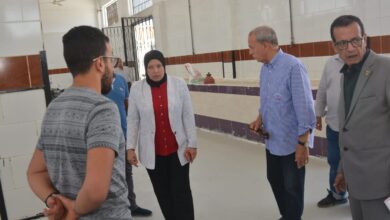 الانتهاء من رفع كفاءة كوبري عرابي بشبرا بتكلفة 40 مليون جنيه الانتهاء من رفع كفاءة كوبري عرابي بشبرا بتكلفة 40 مليون جنيه