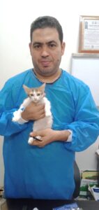 إنقاذ قطة شوارع "كفيفة" تعرضت للإجهاض وأخرى مصابة في حادث من الموت (صور)