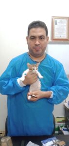 إنقاذ قطة شوارع "كفيفة" تعرضت للإجهاض وأخرى مصابة في حادث من الموت (صور)