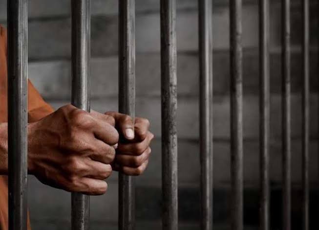 المؤبد لعامل والمشدد لاثنين آخرين لاتهامهم بقتل شخص بالقليوبية المؤبد لعامل والمشدد لاثنين آخرين لاتهامهم بقتل شخص بالقليوبية