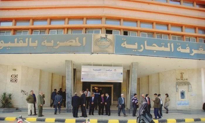 تعيين 7 أعضاء للغرفة التجارية بمحافظة القليوبية تعيين 7 أعضاء للغرفة التجارية بمحافظة القليوبية