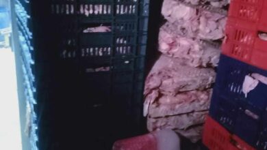 ضبط طن و800 كجم لحوم ودواجن غير صالحة للاستهلاك الآدمي بالقليوبية ضبط طن و800 كجم لحوم ودواجن غير صالحة للاستهلاك الآدمي بالقليوبية